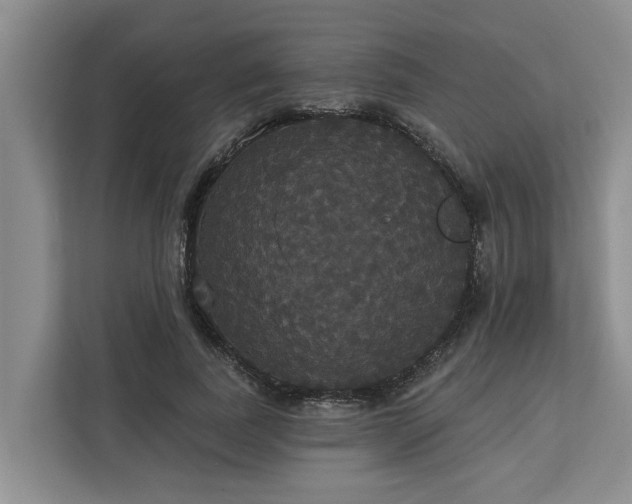 X0000113060739200908281134