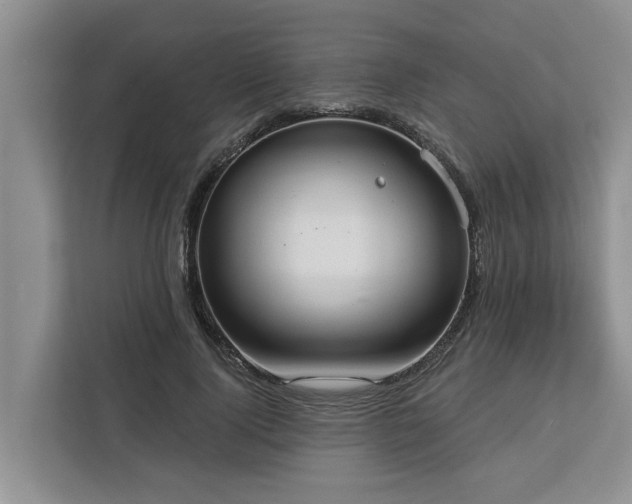 X0000113060740200908281134