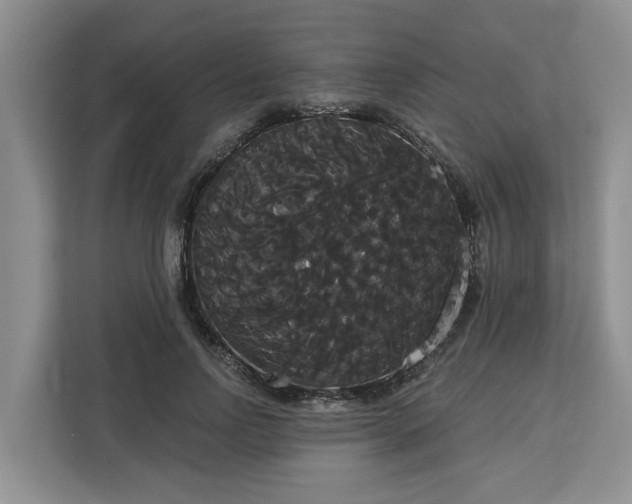 X0000113060742200908281134
