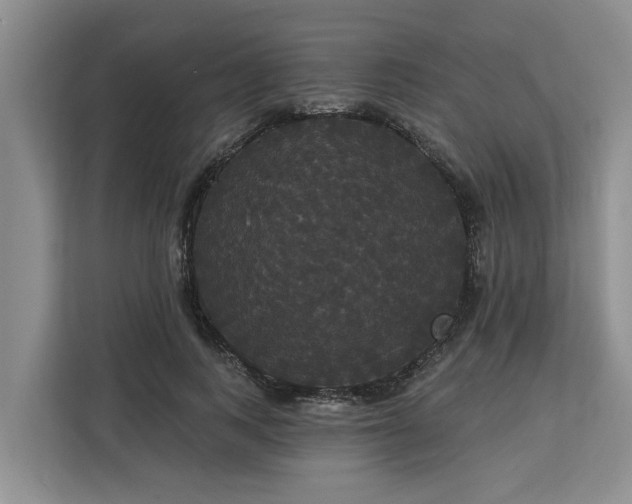 X0000113060743200908281134