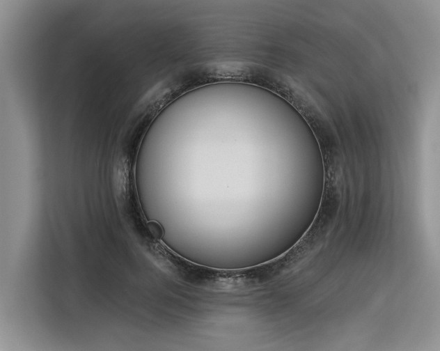 X0000113060744200908281134