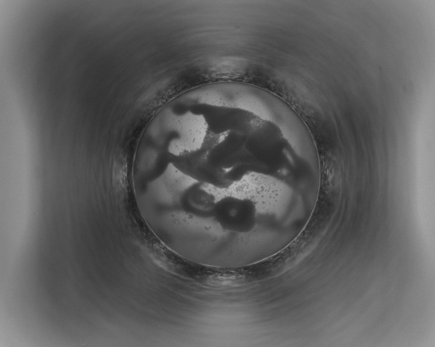 X0000113060745200908281134