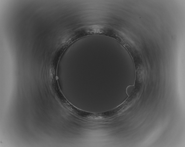 X0000113060747200908281134