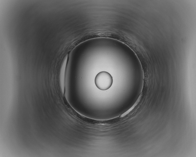 X0000113060748200908281134