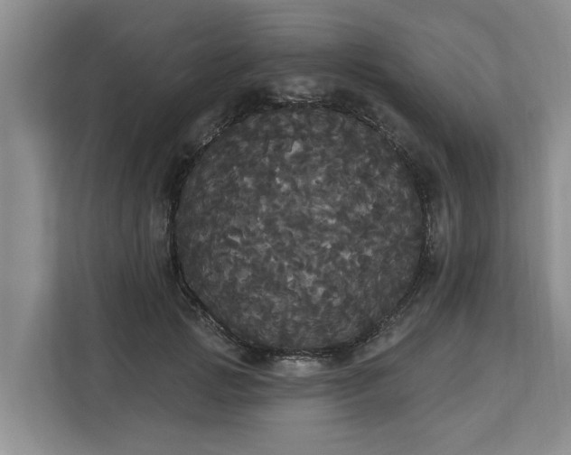X0000113060749200908281134