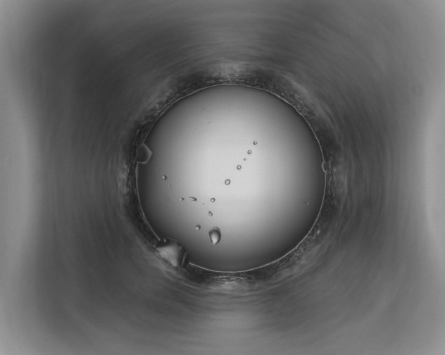 X0000113060750200908281134