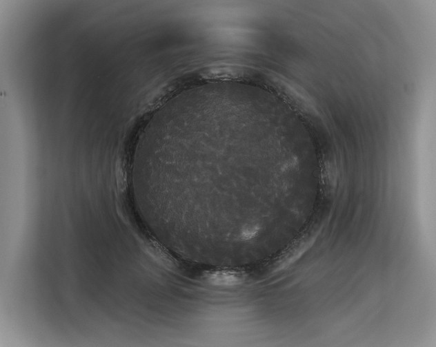 X0000113060751200908281134