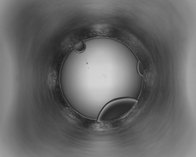 X0000113060752200908281134