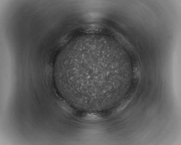 X0000113060753200908281134