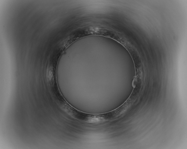 X0000113060754200908281134
