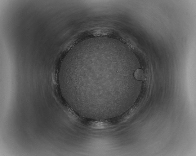 X0000113060755200908281134
