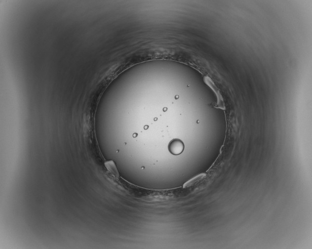X0000113060756200908281134