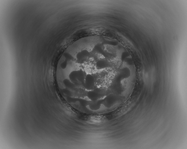 X0000113060757200908281134
