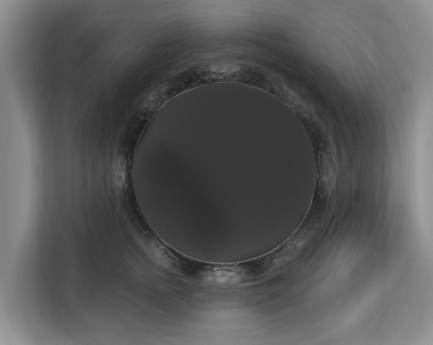 X0000113060758200908281134