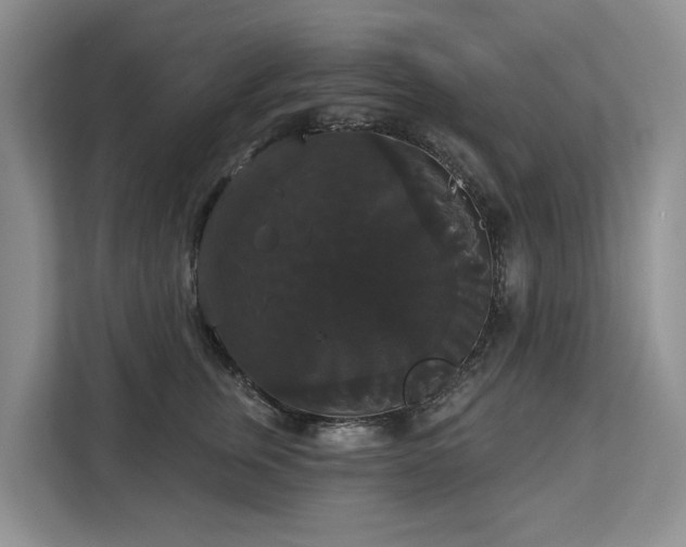 X0000113060759200908281134