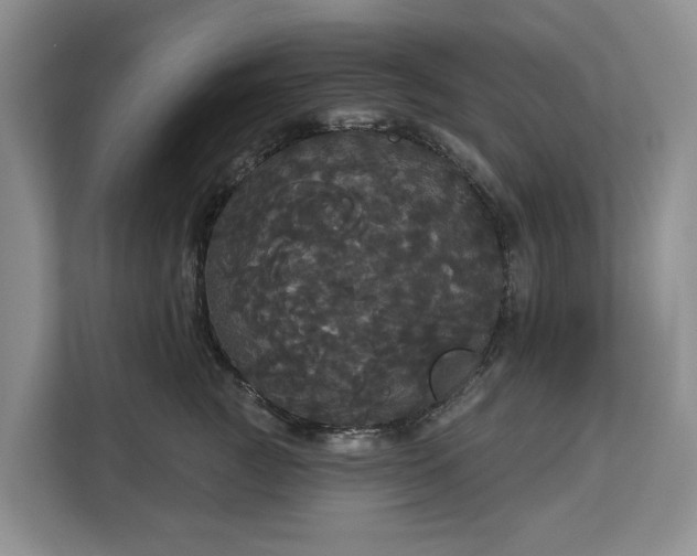 X0000113060761200908281134