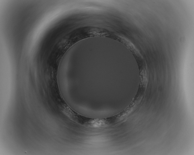 X0000113060762200908281134