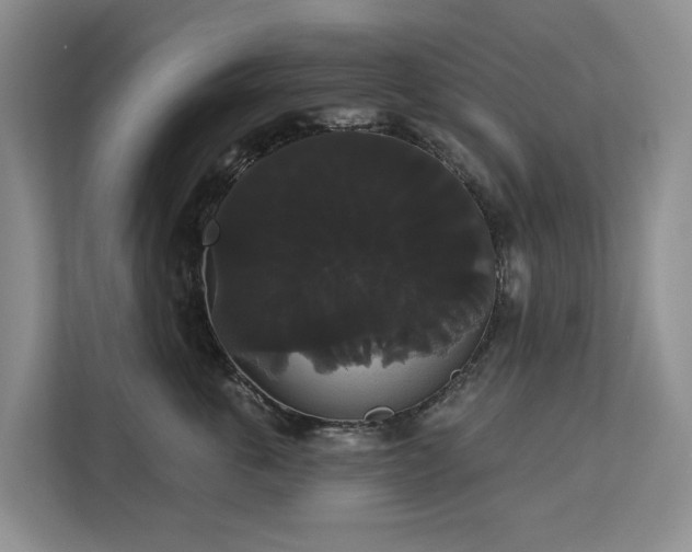X0000113060763200908281134