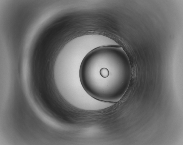 X0000113060764200908281134