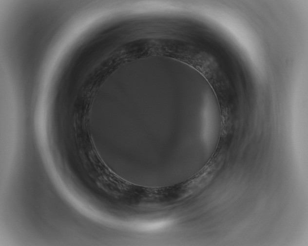 X0000113060765200908281134