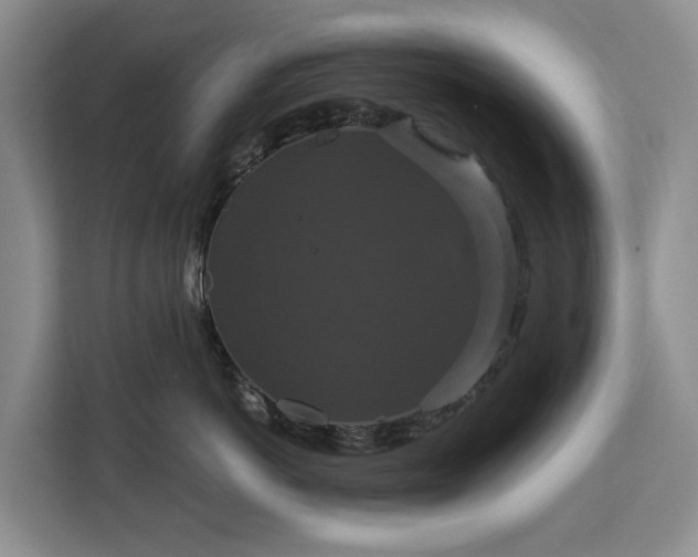 X0000113060766200908281134