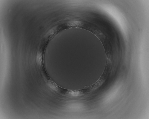 X0000113060767200908281134