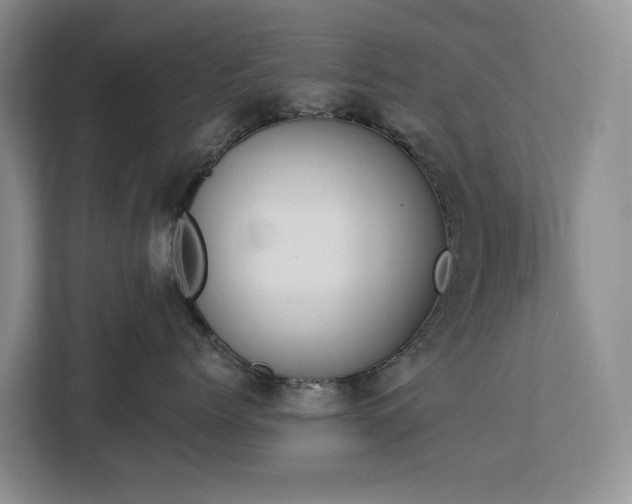 X0000113060768200908281134