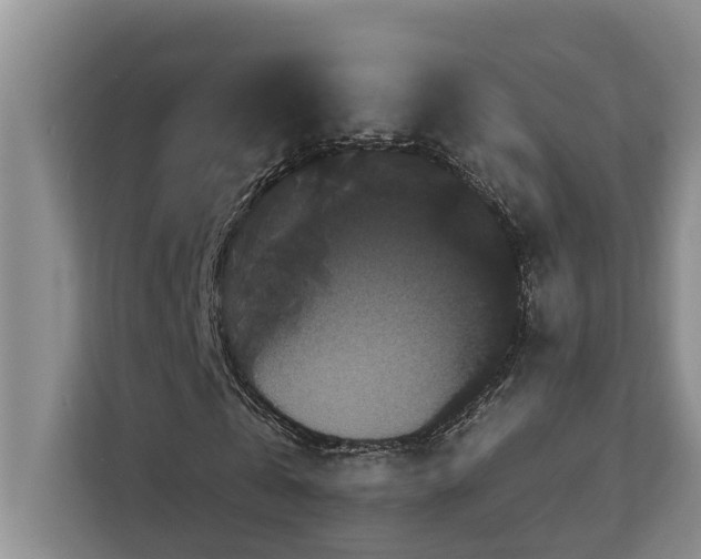 X0000113060769200908281133