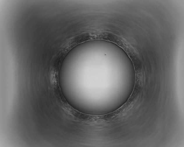 X0000113060770200908281133