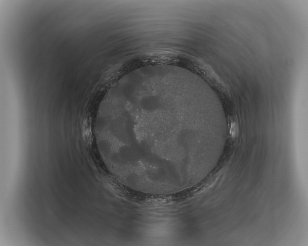 X0000113060771200908281133