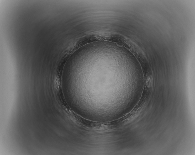 X0000113060772200908281133