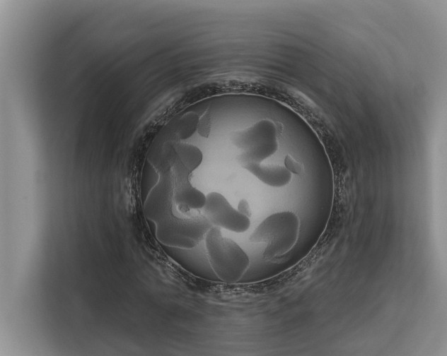 X0000113060774200908281133