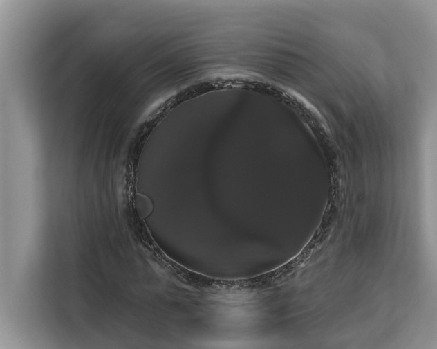 X0000113060775200908281133