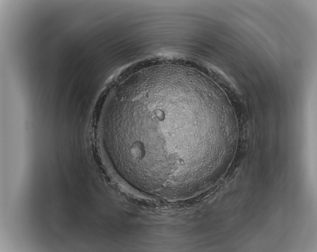 X0000113060776200908281133