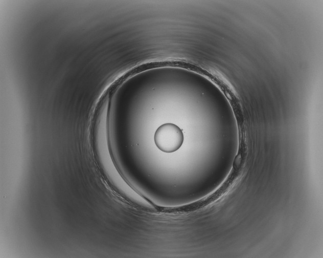 X0000113060781200908281133