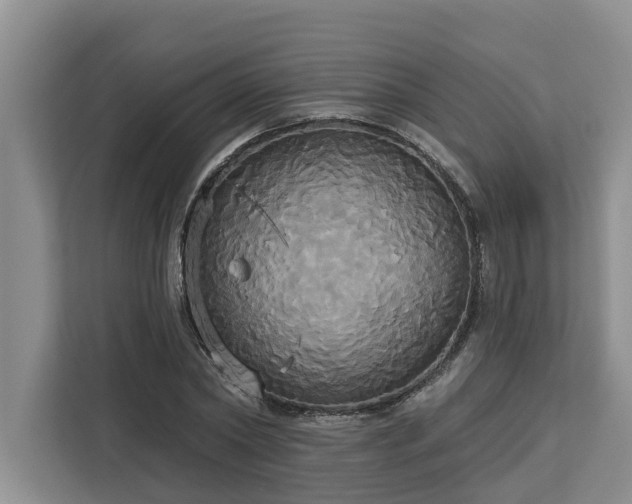 X0000113060782200908281133