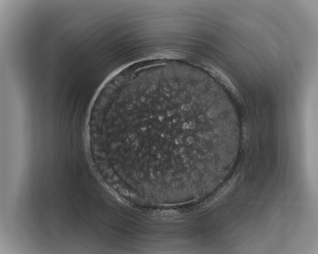X0000113060784200908281133