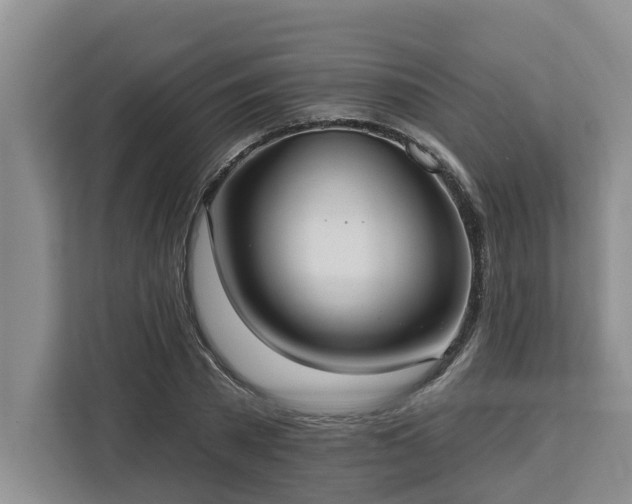 X0000113060785200908281133