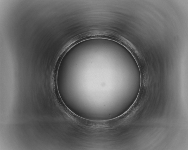 X0000113060786200908281133