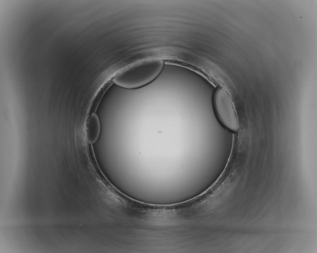 X0000113060789200908281133