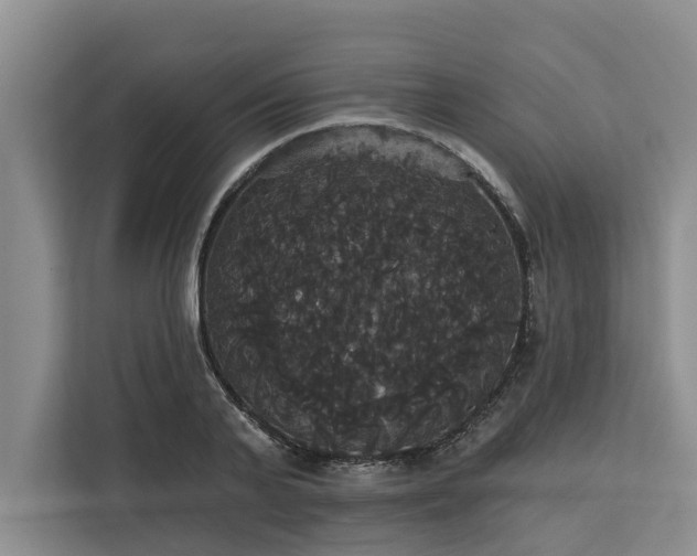 X0000113060791200908281133