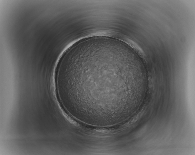 X0000113060792200908281133