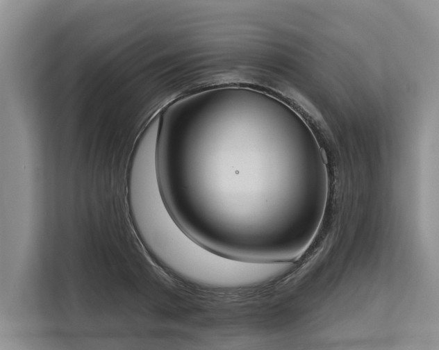 X0000113060793200908281133