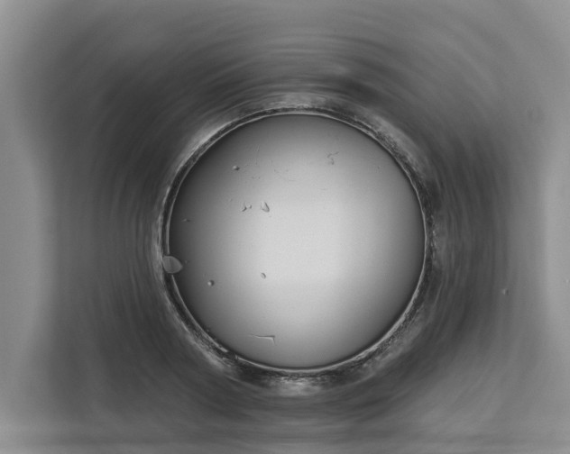 X0000113060794200908281133