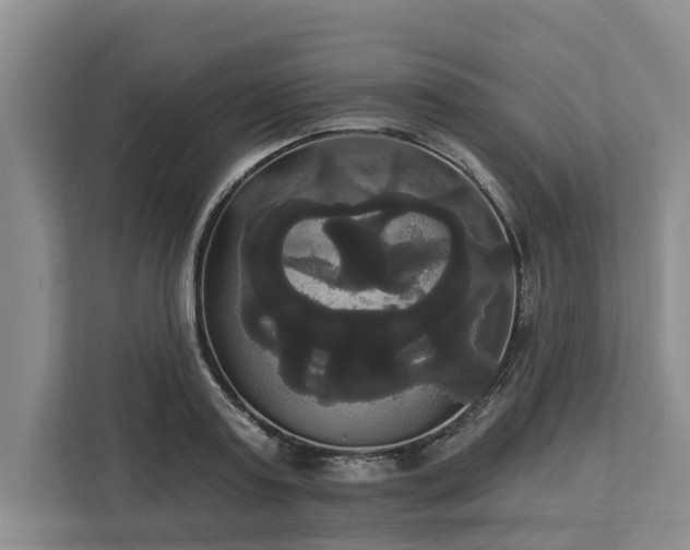 X0000113060795200908281133