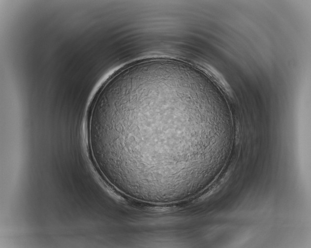 X0000113060796200908281133