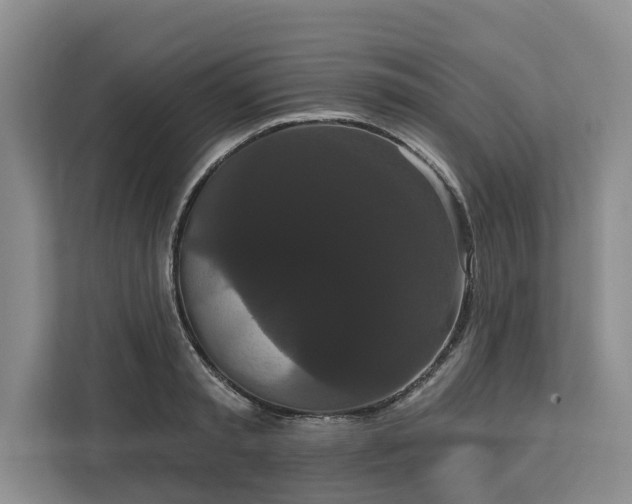 X0000113060797200908281133