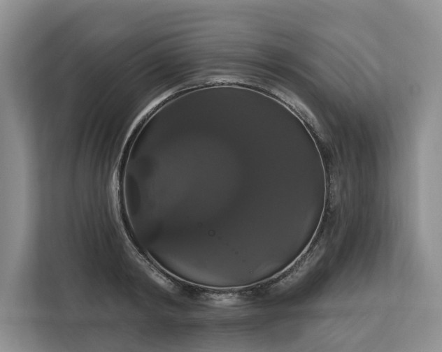 X0000113060798200908281133