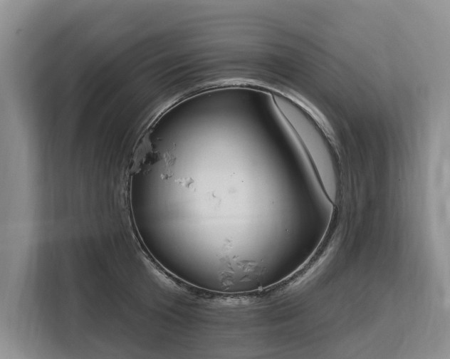 X0000113060801200908281133