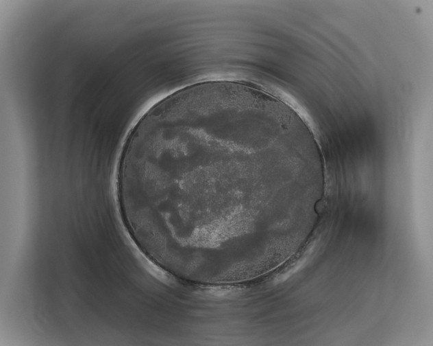 X0000113060803200908281133